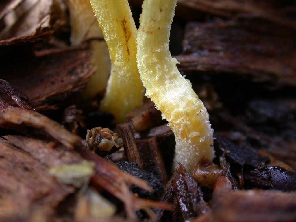 Pi� di cosi... QUIZ